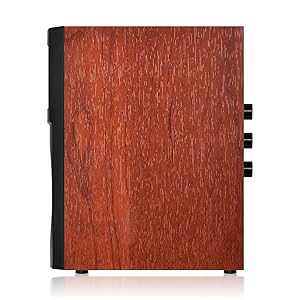 Solid Wood Acoustic Cabinet | 3-Color Desktop Aesthetic