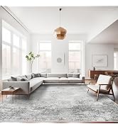 RUUGME Washable 9X12 Rug Abstract - Living Room Bedroom Large Area Rug Indoor Farmhouse Stain Res...
