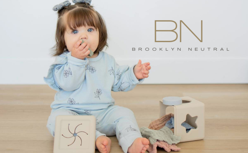 Silicone Shape Sorter Tissue Toy