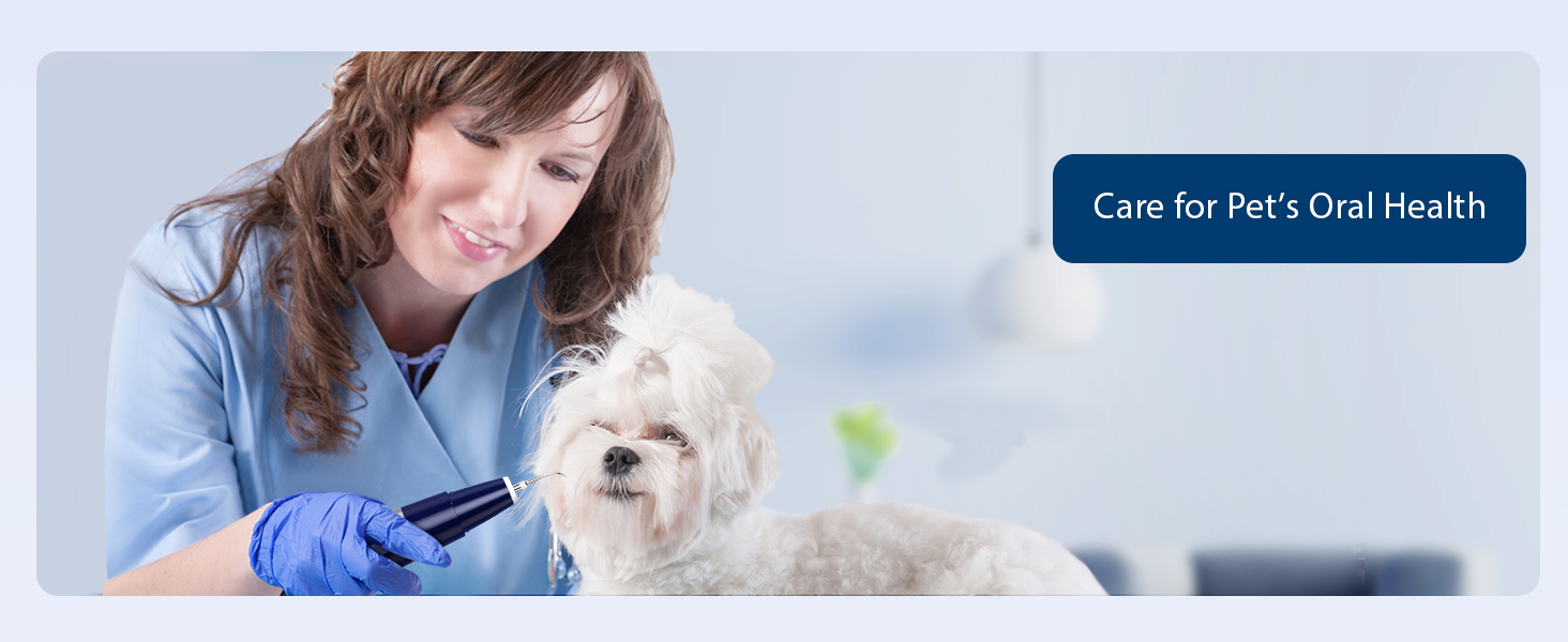 Care for Pet&amp;#39;s Oral Health