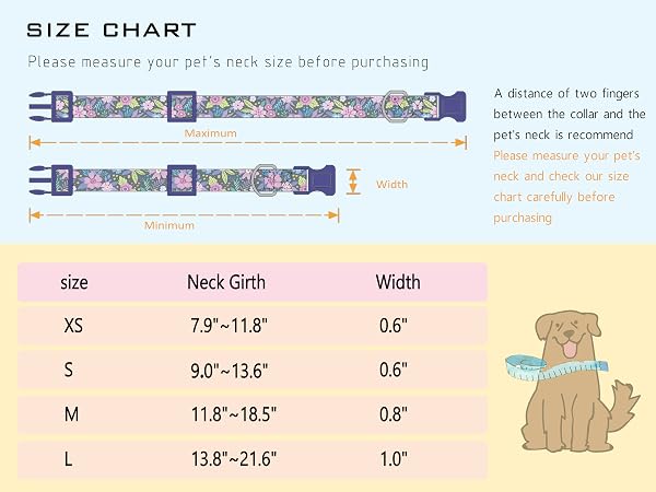 purple dog collar female dog collar girl dog collar for spring dog collar summer dog collar