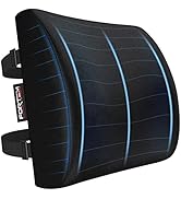 FORTEM Lumbar Support Office Chair, Lumbar Support Pillow for Car, Office Chair Back Support, Lum...