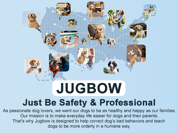 shock training collar for dogs