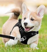 Dog Harness Step in Dog Vest Harness, Reflective Adjustable Puppy No Pull Harness Breathable Soft...