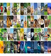 300PCS Animal Bulk Bookmarks for Kids Classroom 60 Designs Cool Wildlife Bookmarks Cute Book Mark...