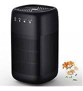 Afloia Air Purifier and Dehumidifier in 1, Air Purifier with Efficient Filter, Small Dehumidifier...