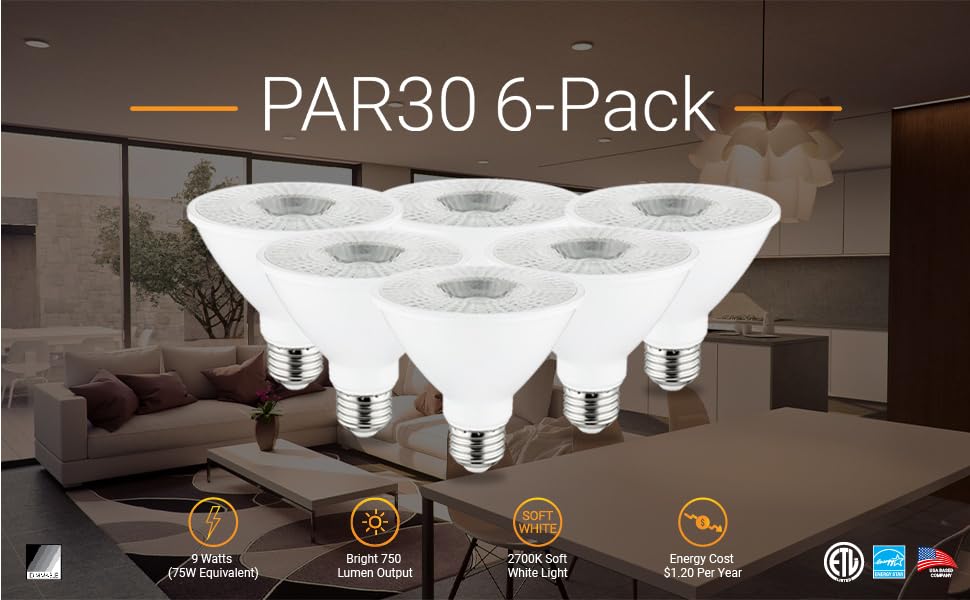 Title: 6-Pack. 6 reflector bulbs underneath title.