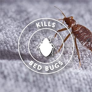 Kills Bed Bugs