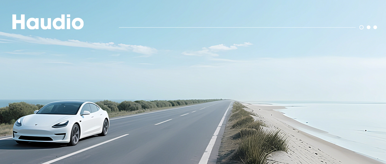 Haudio