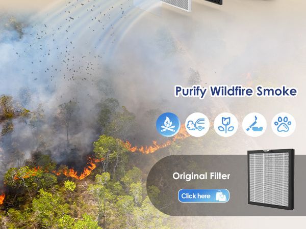 Air Purifiers for Home Large Room