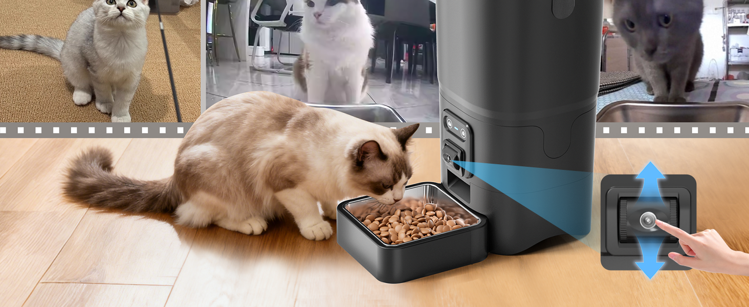 automatic cat feeder