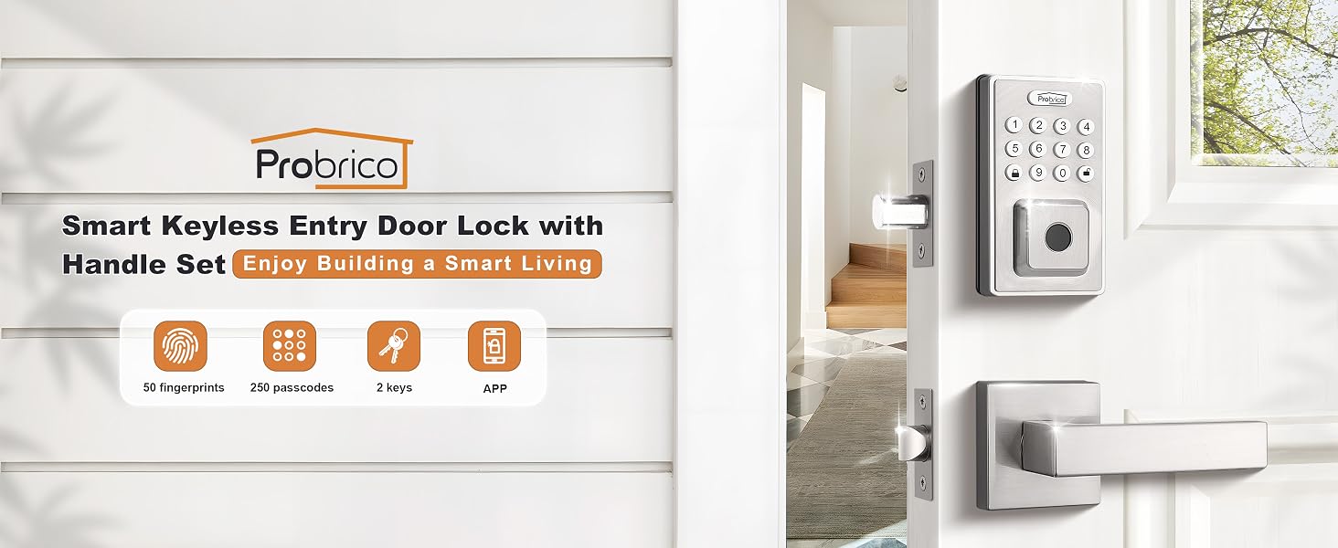 smart door lock with handle set