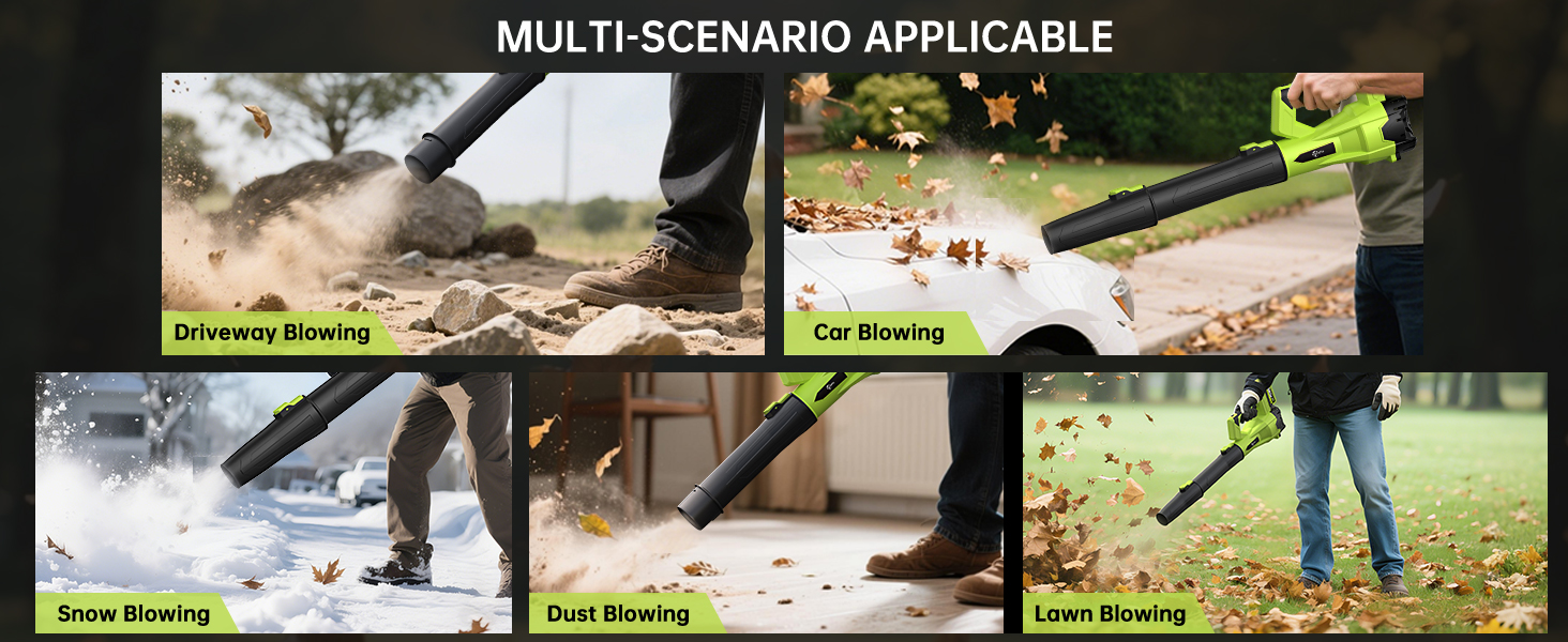 Multi-scenario Application
