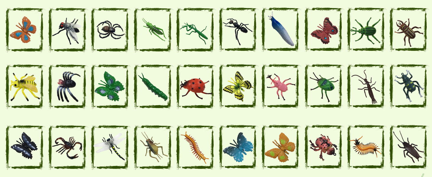 30bug