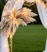 WILD AUTUMN Fluffy Boho Wall decor - DIY pampas grass kits,Decorative pampas cloud,Mirror Decorat...