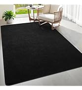 Woottpe 4x6 Feet Area Rugs for Living Room Bedroom,Black Thickened Memory Foam Rug,Low Pile Minim...