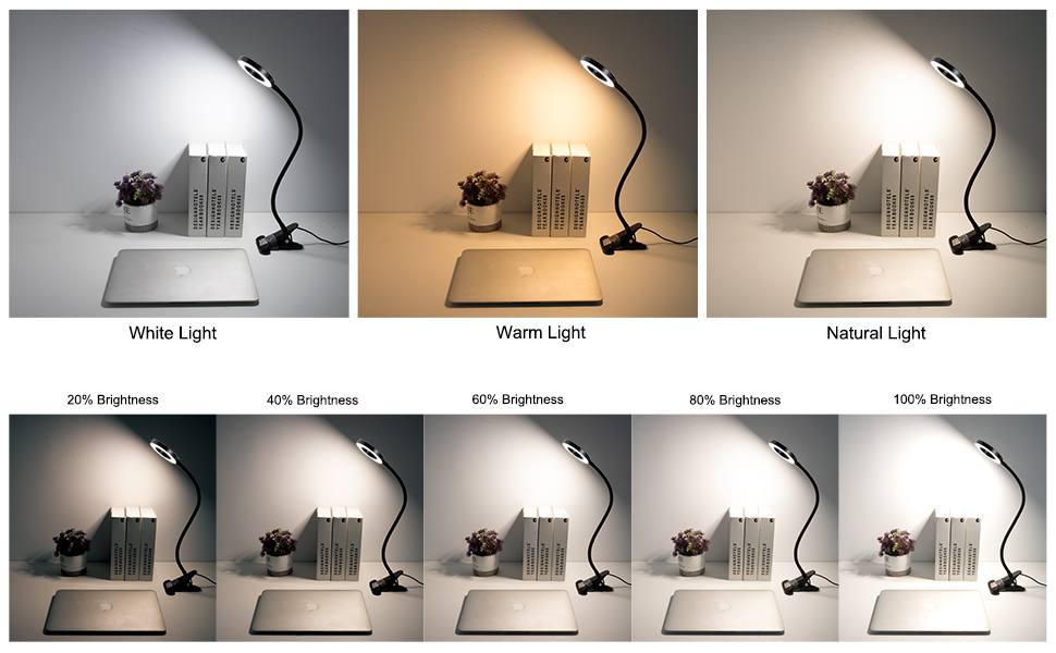 clip on light
