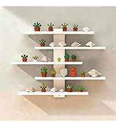 FRAWENLECO No Drill Floating Shelf for Wall, 5-Tier Wall Mounted Organizer, Damage-Free Display S...