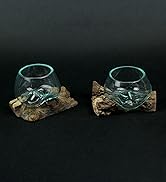 Glass Driftwood Terrariums