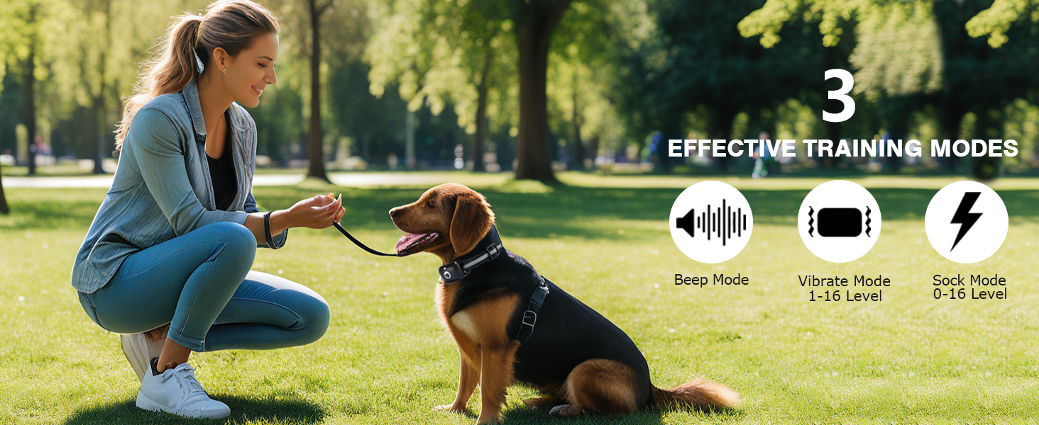 dog shock collar with remote for medium dogs training collar