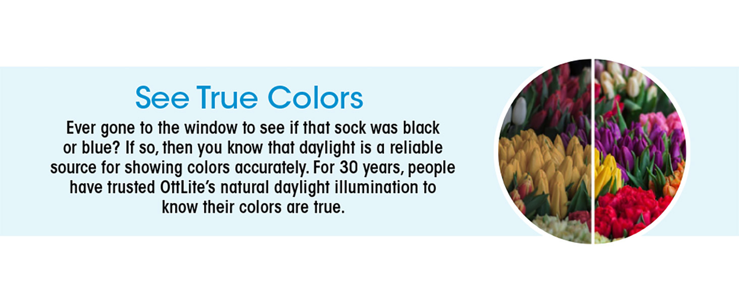 See True Colors, Shows Colors Accurately, Natural Daylight Illumination, Light, Comparison, Compare