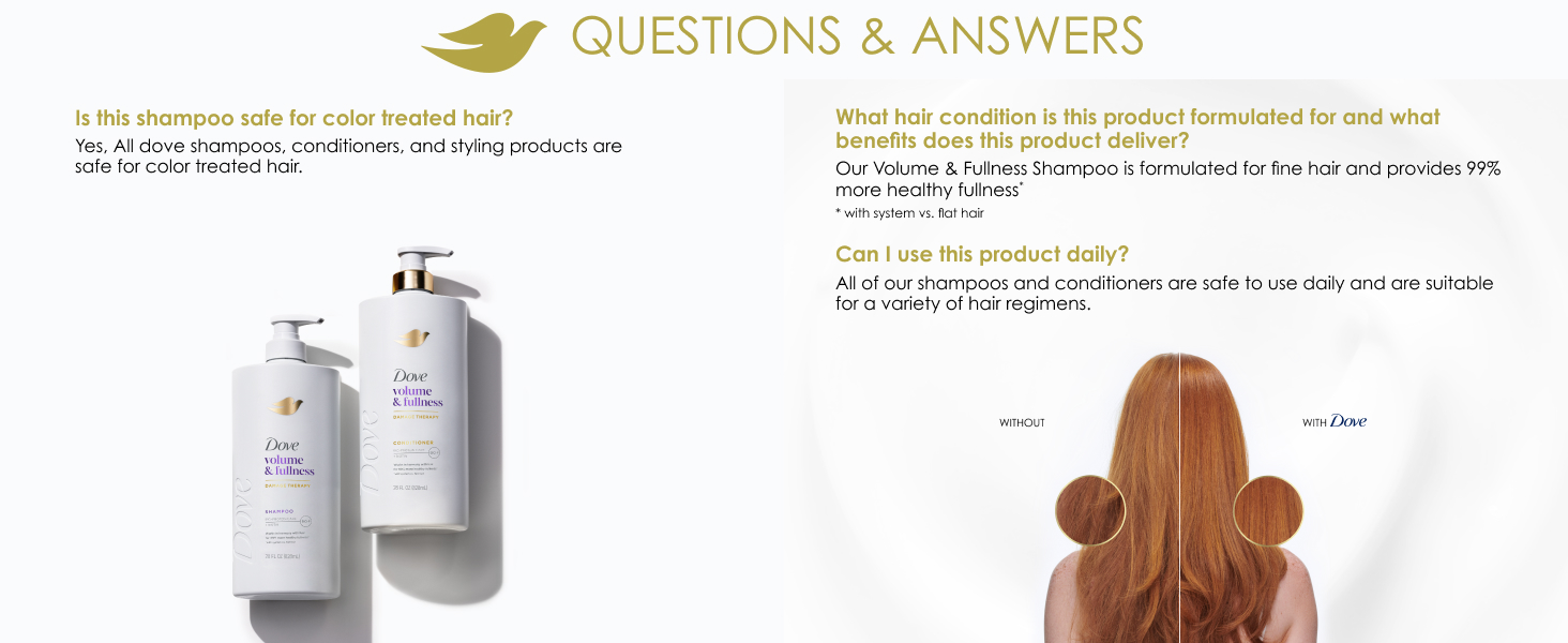 Questions and answers.