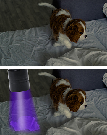 nail dryer flashlight