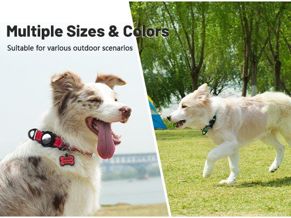 Dog Collar with AirTag Holder