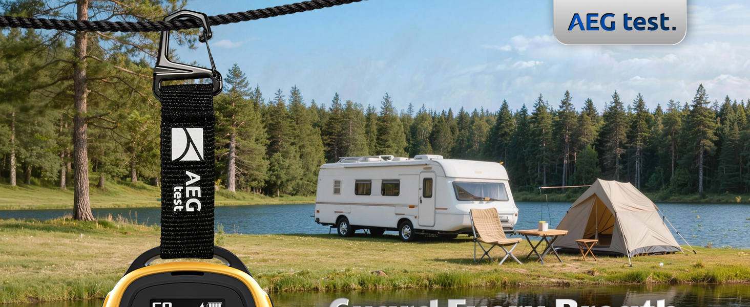 carbon monoxide detector