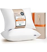 Bedsure Pillows Queen Size Set of 2 - Soft Bed Pillows for Sleeping 2 Pack, Fluffy and Supportive...