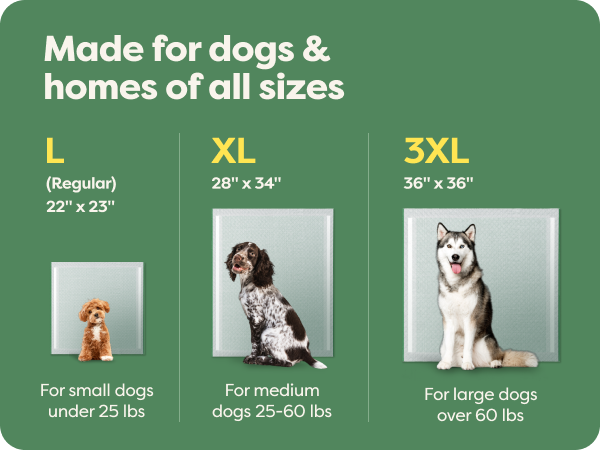 Large Pee Pads