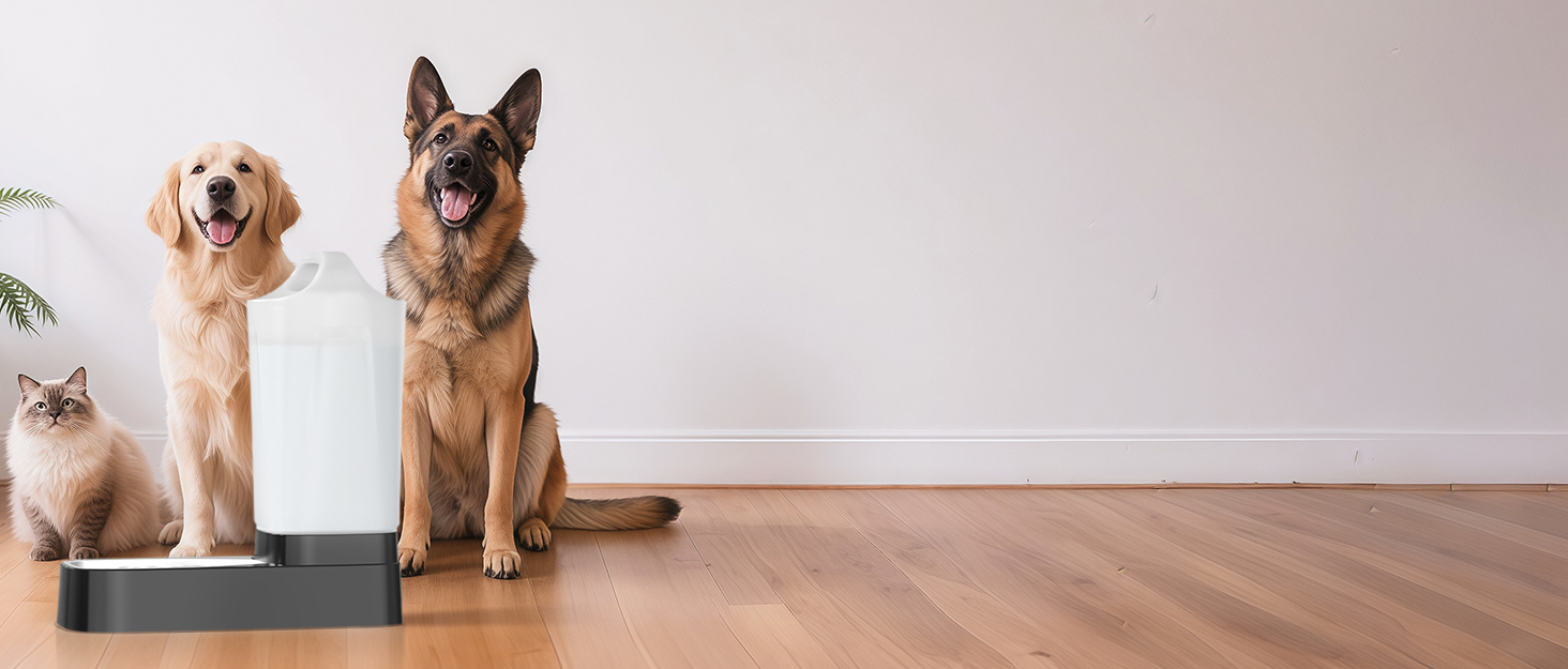 Dog Water Bowl Dispenser