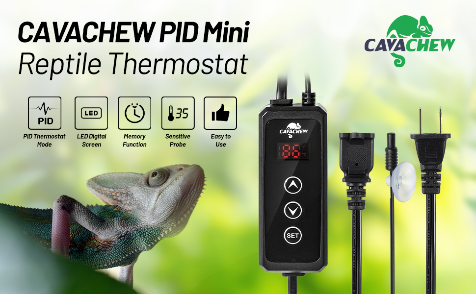 reptile thermostat