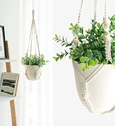 fake plant