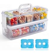 Homelove Snackle Box Container with 2 Plastic Ice Packs, Snack Organizer Divided Serving Tray wit...