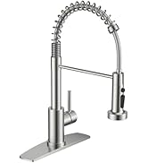 FORIOUS Kitchen Faucets with Sprayer, Brushed Nickel Stainless Steel Sink Faucet Single Handle wi...