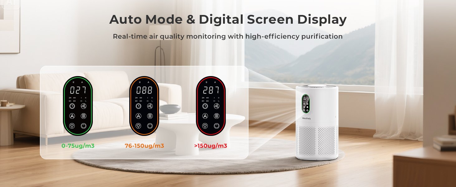 Auto Mode Digital Screen Display