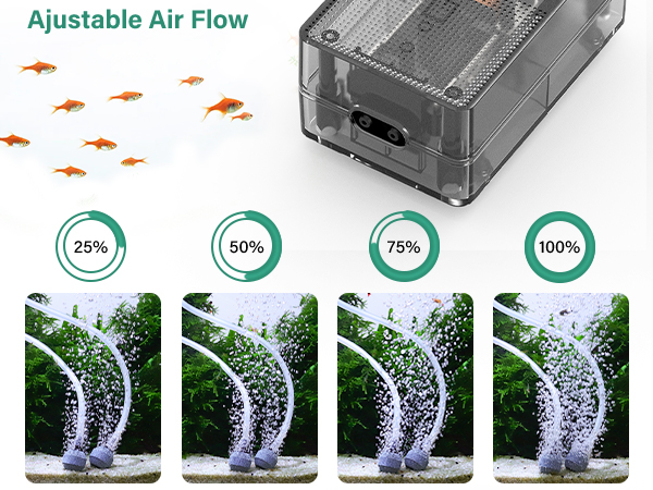 aquarium air pump