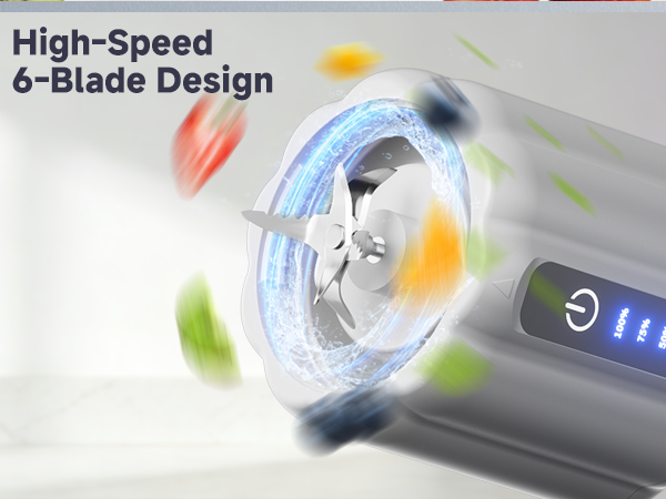 6 Stainless-steel Blades