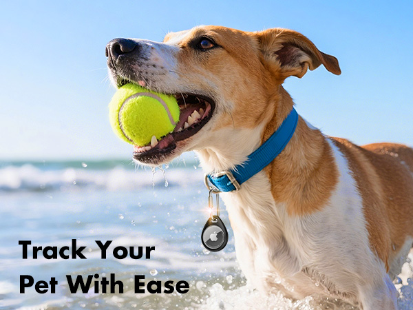 apple airtag keychain