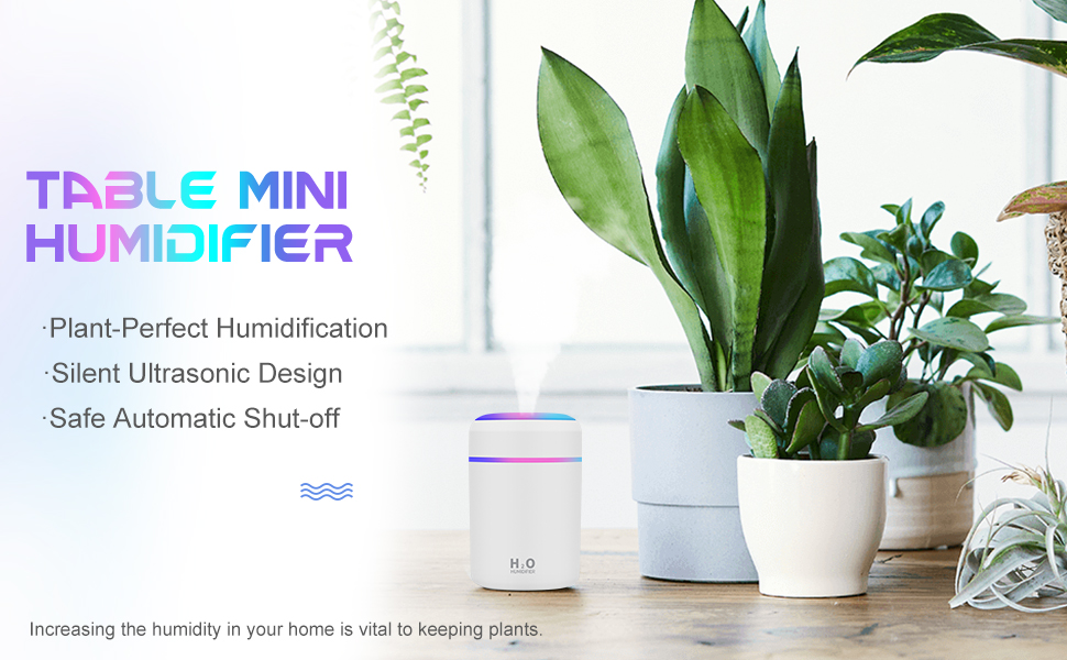 great mini humidifier for plants