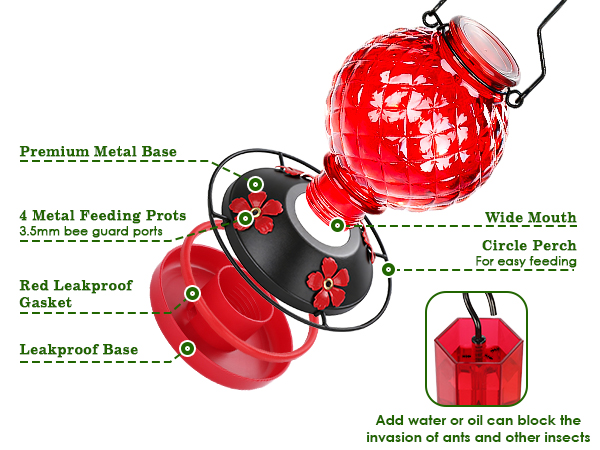 Glass Hummingbird Feeder