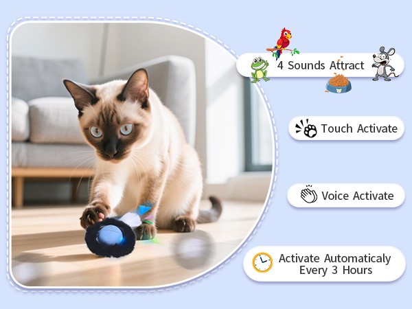 cat toy ball