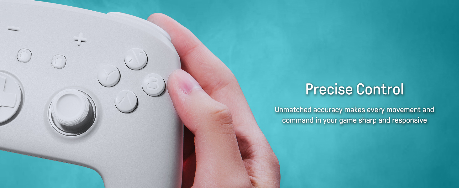 Nintendo switch pro controller
