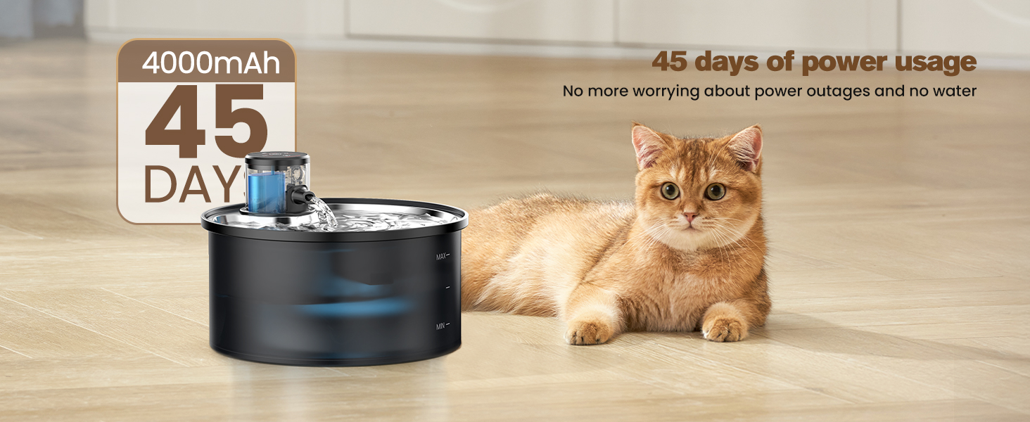 cat water fountain