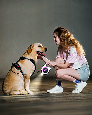 LED dog retractable leash