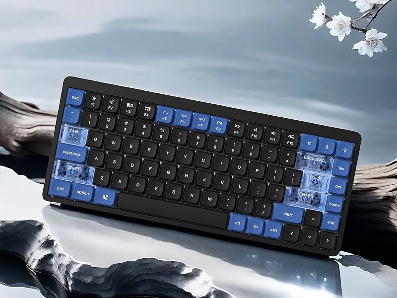 womier low profile keycap,pbt/pc keycaps,clear keycaps,double shot keycaps