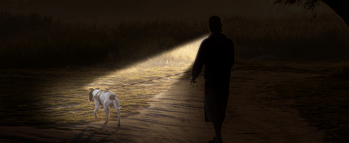 Walking dog at night with EastPin neck flashlight for handsfree illumination