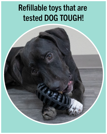 Dog chewing on black Treat Wheeler toy.