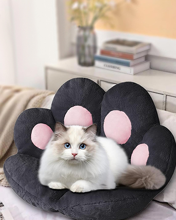 cat paw cushion